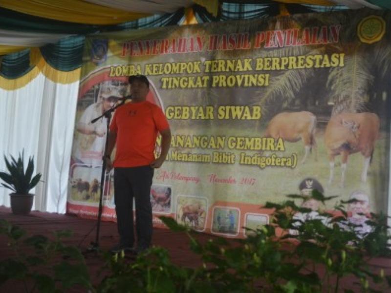 PENYELENGGARAN PENYERAHAN HADIAH LOMBA KELOMPOK PETERNAK TINGKAT PROVINSI, GEBYAR SIWAB DAN PENCANANGAN PELAKSANAAN GEMBIRA (GERAKAN MENANAM INDIGOFERA) BERSAMA  GUBERNUR KEPULAUAN BANGKA BELITUNG
