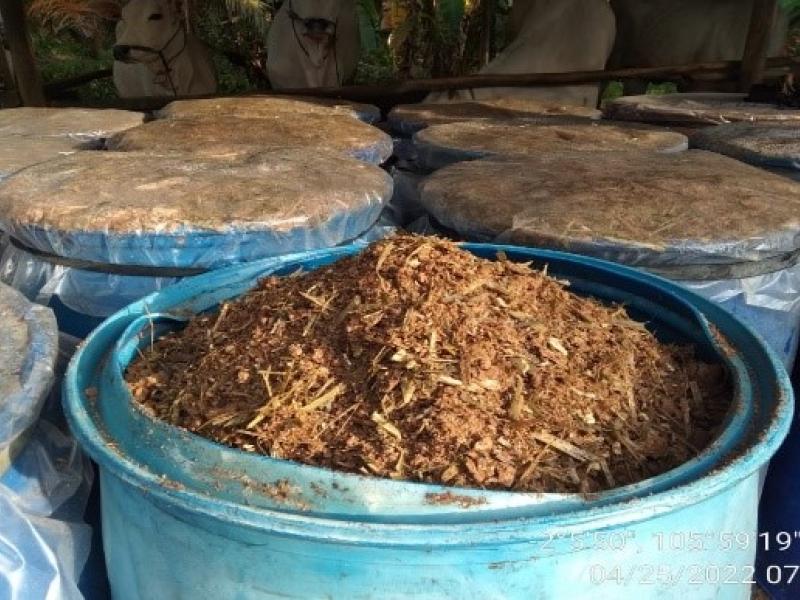 Mengapa Perlu Penambahan Probiotik Pada Pakan Ternak