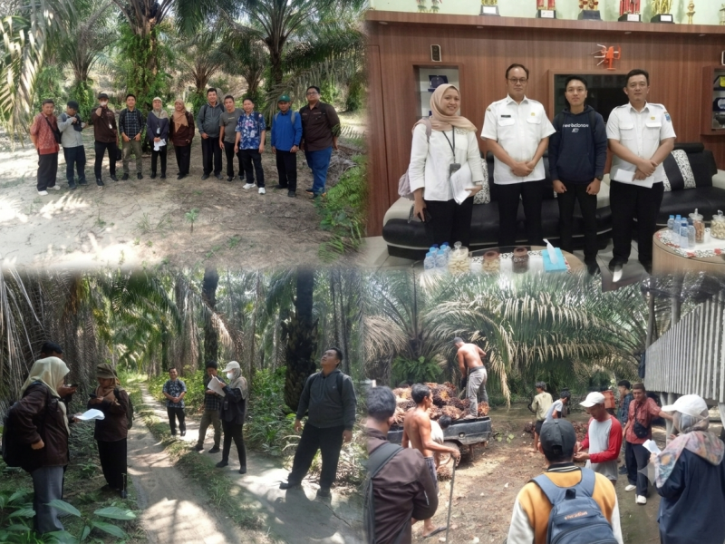 Kementan dan DPKP Babel Rampungkan Verifikasi Bantuan Sarpras Sawit senilai Rp 2,38 Miliar di Bangka Tengah