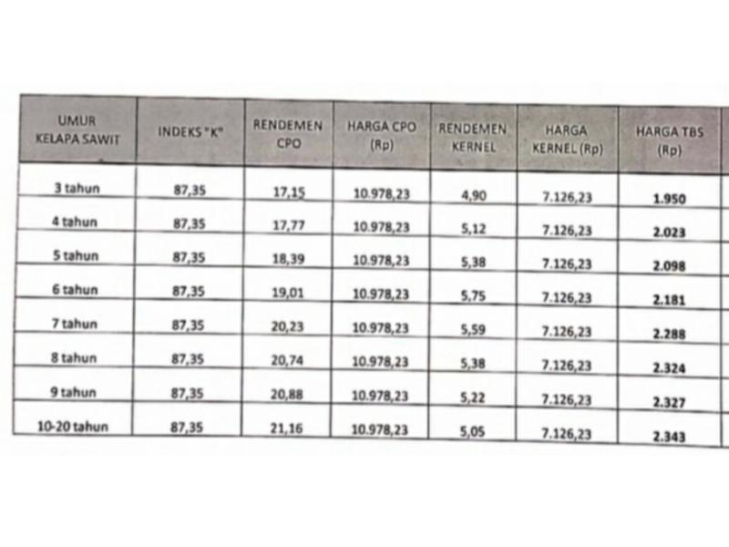 Harga TBS Kelapa Sawit Terus Melejit, Sentuh Angka Rp 2.343 per Kilogram