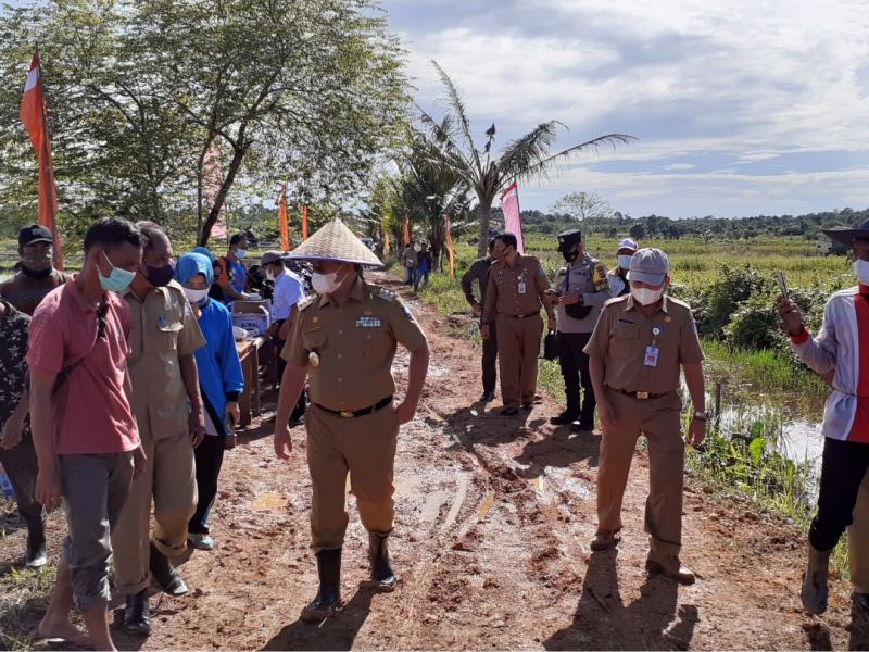 Jalan Puruh, Simbol Kekompakan Petani Sawah dari Dua Desa yang Berbeda di Air Gegas 