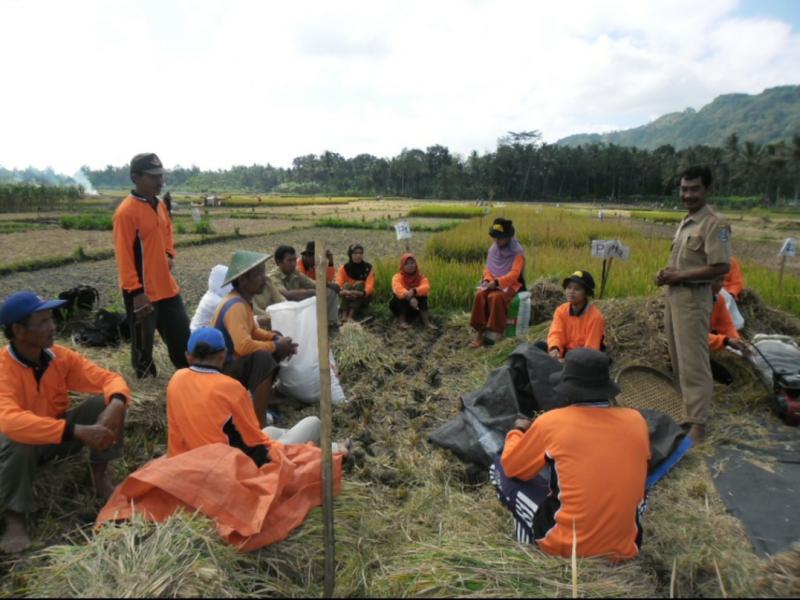 Besok Lima Puluh Petani Padi Desa Paya Benua Mulai Masuk Sekolah Lapang