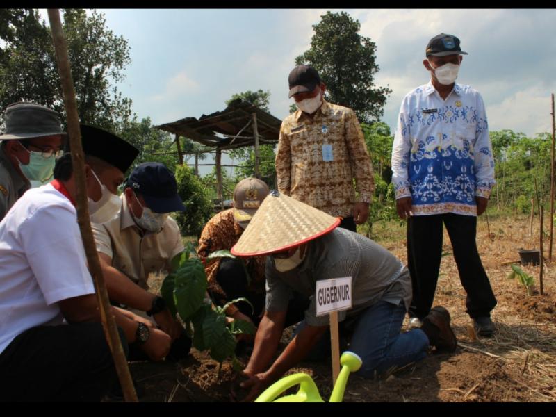 Cikal Bakal Kawasan Perbenihan, Gubernur Erzaldi Tanam Tiga Komoditas Pertanian di Bangka Tengah