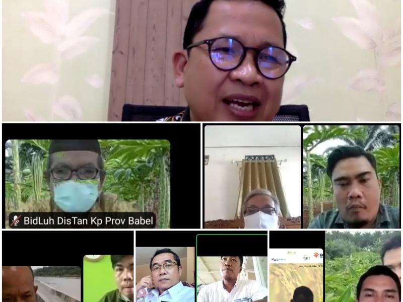 Sosialisasikan Porang Secara Virtual, Juaidi Sebut Ada Insentif untuk Penyuluh