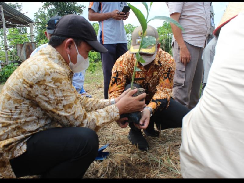 Petakan Kawasan Komoditas Pertanian, Juaidi: Agar Lebih Fokus