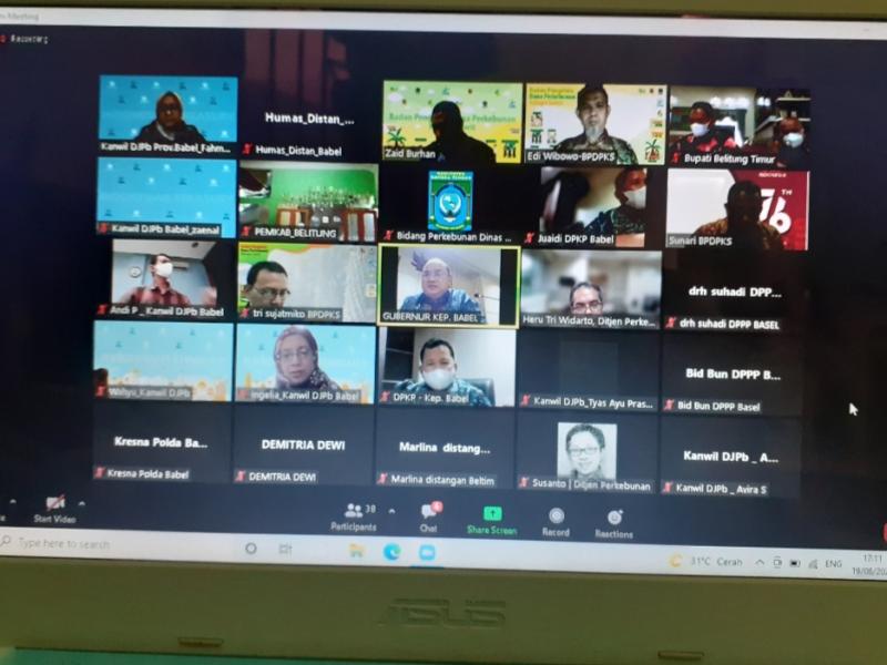 Gubernur Erzaldi Minta Luasan Program PSR di Babel Tidak dibatasi, BPDPKS Sebut Tidak Ada Batasan 