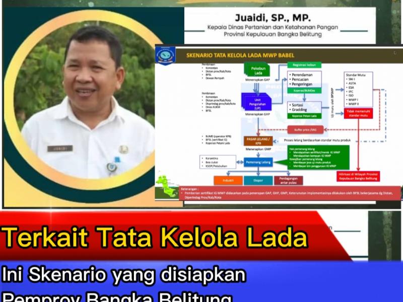 Terkait Tata Kelola Lada, Ini Skenario yang disiapkan Pemprov Bangka Belitung 