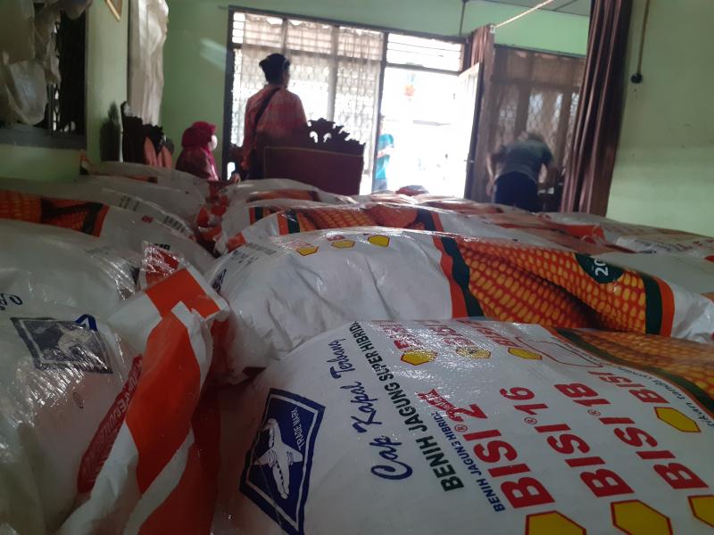 Benih Jagung Bantuan didistribusikan, Petugas Kawal Hingga Malam Hari