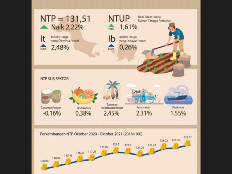 Di atas Nasional, NTP Babel Naik 2,22 Persen 