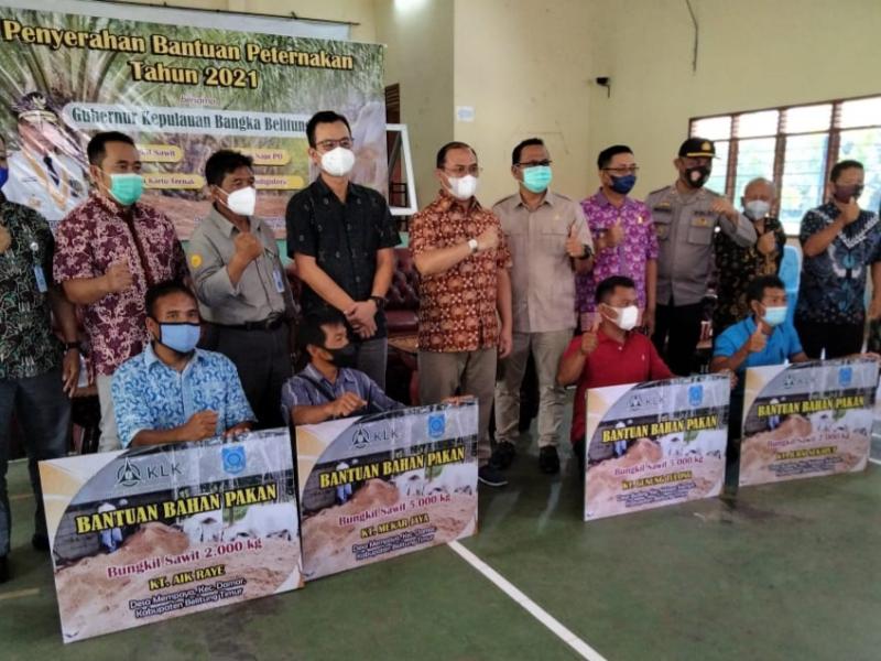 Gubernur Erzaldi Serahkan Bibit Sapi dan Bungkil Sawit untuk Peternak di Pulau Belitung 