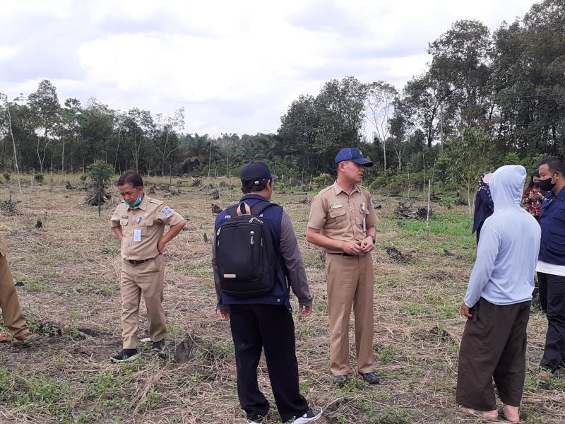 Kementan Kembangkan Durian Namlung 30 Hektar di Bangka Barat