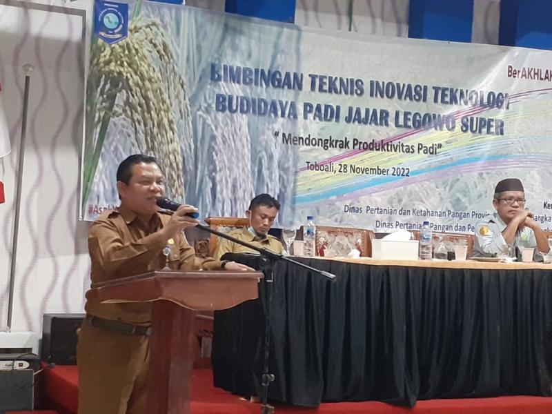 Petani Padi dan Penyuluh Pertanian Bangka Selatan Pelajari Teknologi Budidaya Padi Jajar Legowo