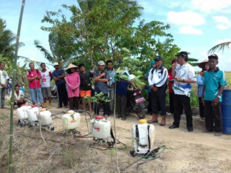 PELAKSANAAN KEGIATAN GERAKAN PENGENDALIAN OPT PADI TAHUN 2017 DI KABUPATEN BANGKA SELATAN