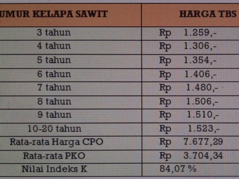 Jelang Akhir Tahun, Harga TBS Kelapa Sawit Bangka Belitung Naik