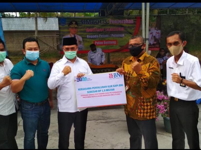 Adaptasi Kebiasaan Baru di Tengah Pandemi Covid-19, Gubernur Erzaldi Beri Stimulus bagi Peternak 