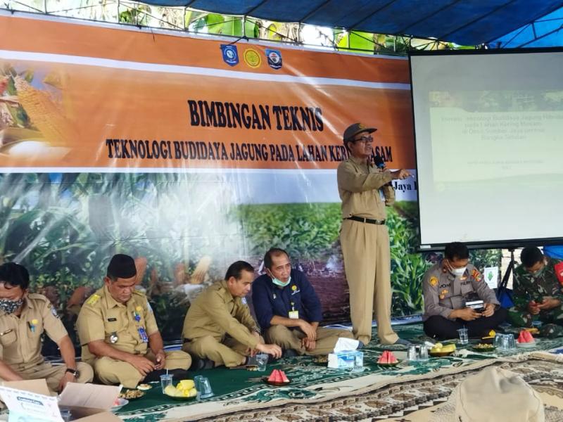 Wakili Kadis Pertanian Babel, Kemas Arfani Motivasi Peserta Bimtek Teknologi Budidaya Jagung di Pulau Besar