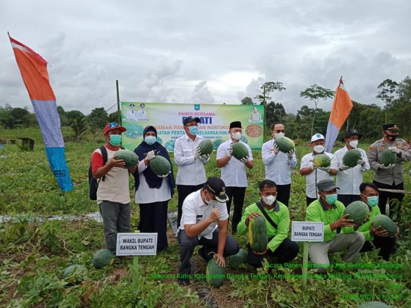 Aktifitas Petani Milenial Bangka Belitung diapresiasi Kementerian Pertanian  
