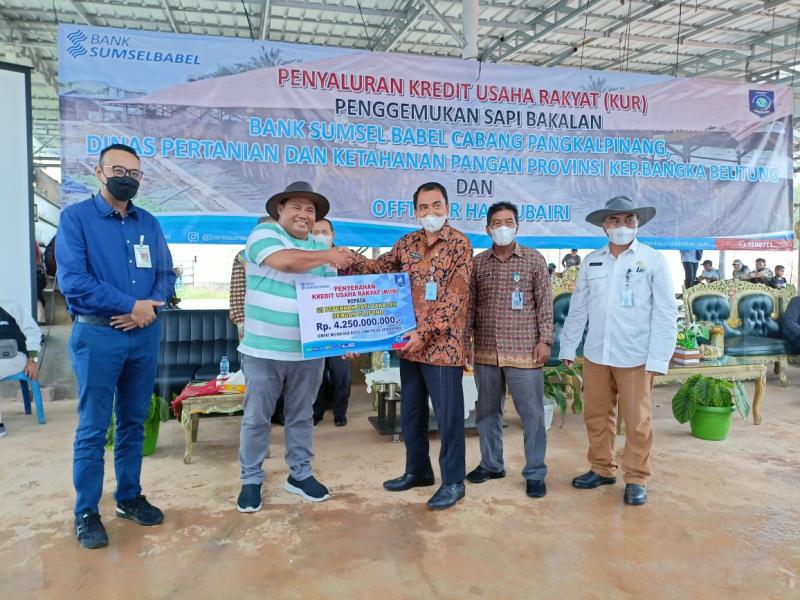 Kepala Dinas Pertanian Babel Saksikan Penyaluran KUR dan Serahkan Bantuan untuk Peternak