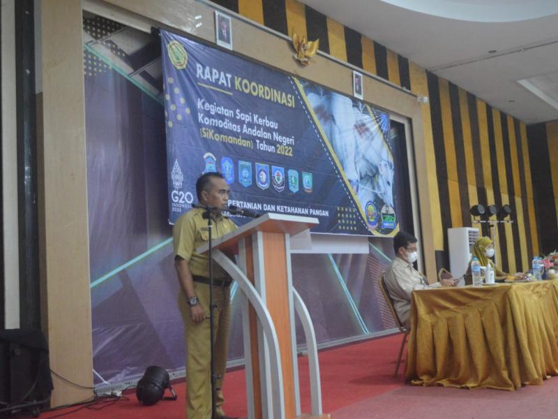 Angka Kelahiran Sapi di Babel Lebihi Target