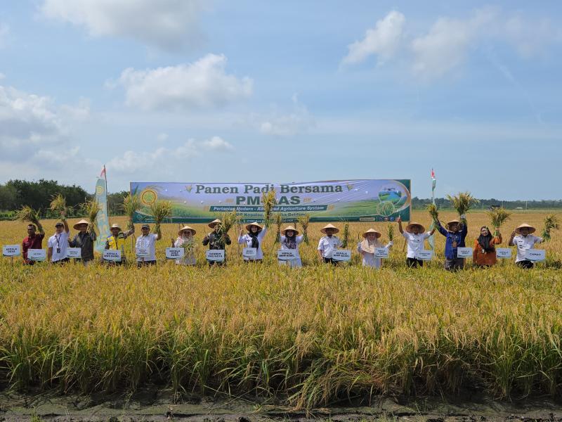 Panen Padi PM-AAS di Bangka Selatan, Optimis Genjot Produksi Beras Bangka Belitung
