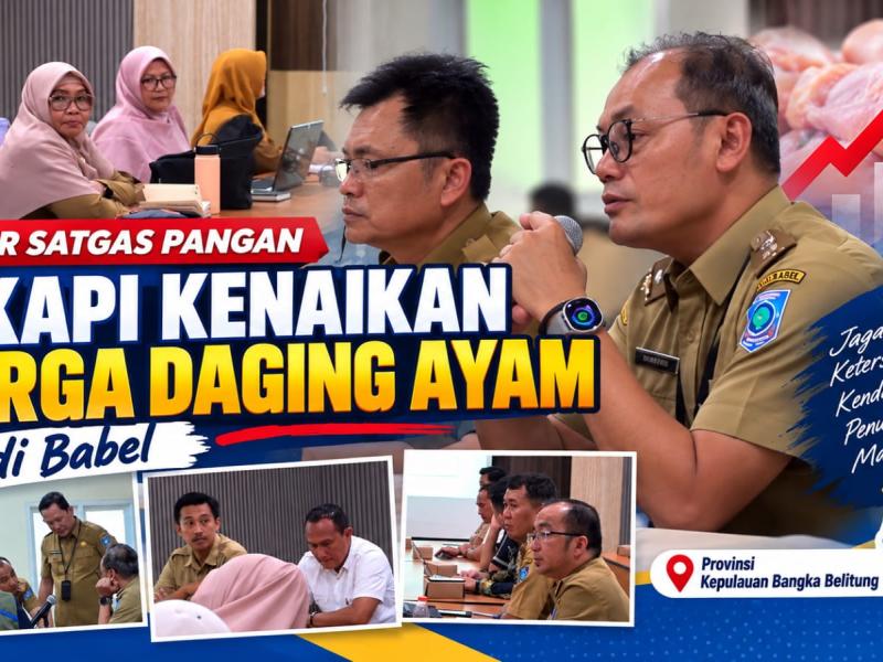 Harga Daging Ayam di Babel Bertahan di Atas HAP, Satgas Pangan Gelar Rakor