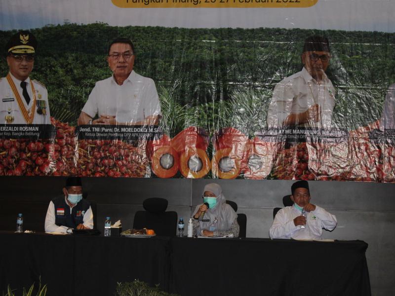 Luas Kebun Sawit Rakyat di Bangka Belitung Capai 75,7 Ribu Hektar