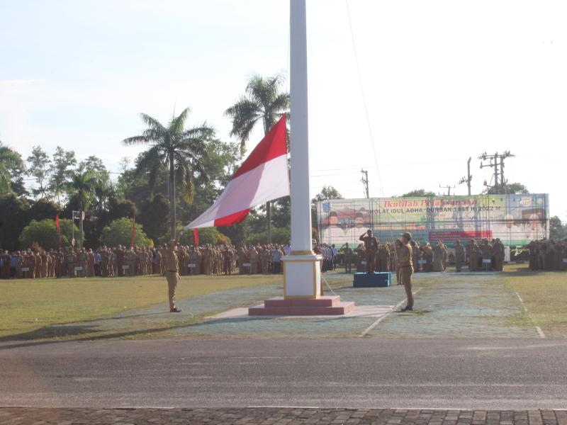 Pimpin Upacara Bendera di Halaman Kantor Gubernur, Kepala Dinas Pertanian Babel Sampaikan Perkembangan Kasus PMK
