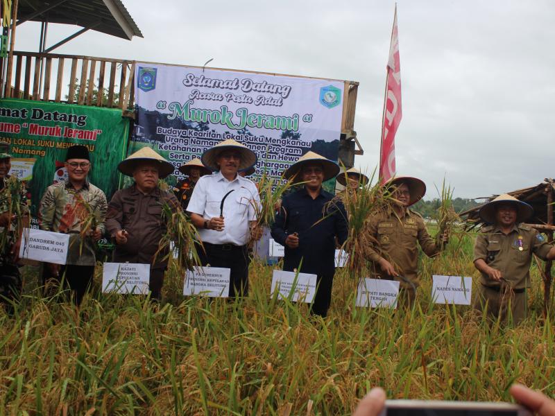 Kepala Dinas Pertanian Babel Dampingi Pj Gubernur di Pesta Adat Murok Jerami Desa Namang