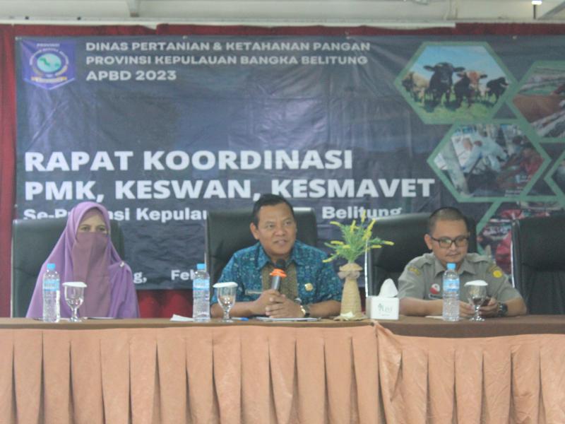 Hewan Ternak Terinfeksi PMK di Babel Sudah Nihil, 3.957 Ekor Sembuh