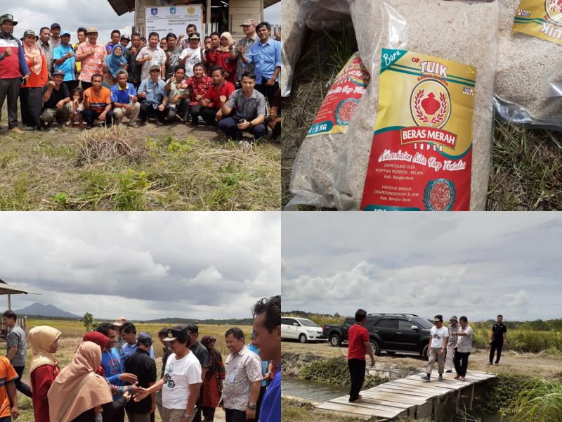 Sawah Tuik, Kental Kearifan Lokal Bikin Betah Tak Ingat Pulang
