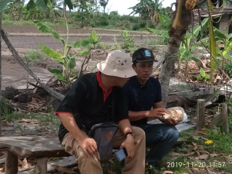 Jelang Musim Hujan, Produsen Benih Padi Mulai Garap Lahan