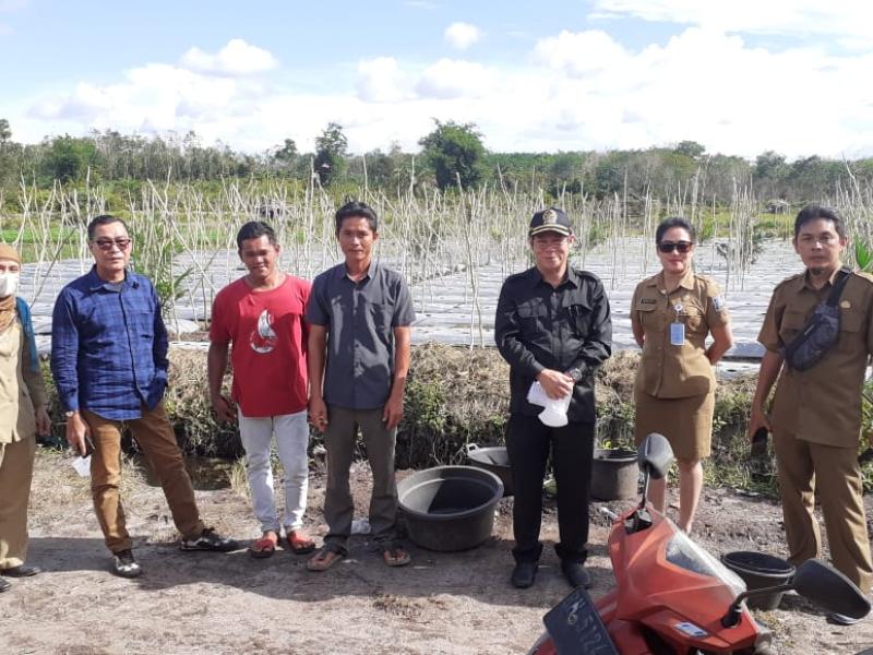 Olah Tanah Gunakan Cangkul, Petani Jada Bahrin Minta Pemerintah Bantu Kultivator