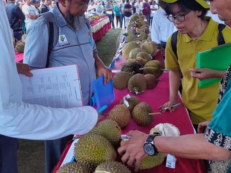 Durian Bangka Barat Dominasi Pemenang Kontes  