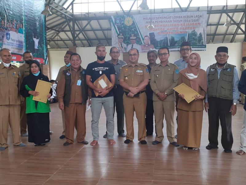 Lomba Kebun Lada, Petani Dapat Sapi Penyuluh Terima Bonus 