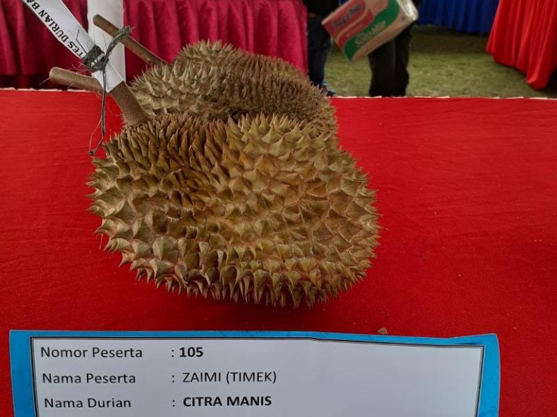 Citra Manis Gondol Uang Tunai 22 Juta Rupiah  