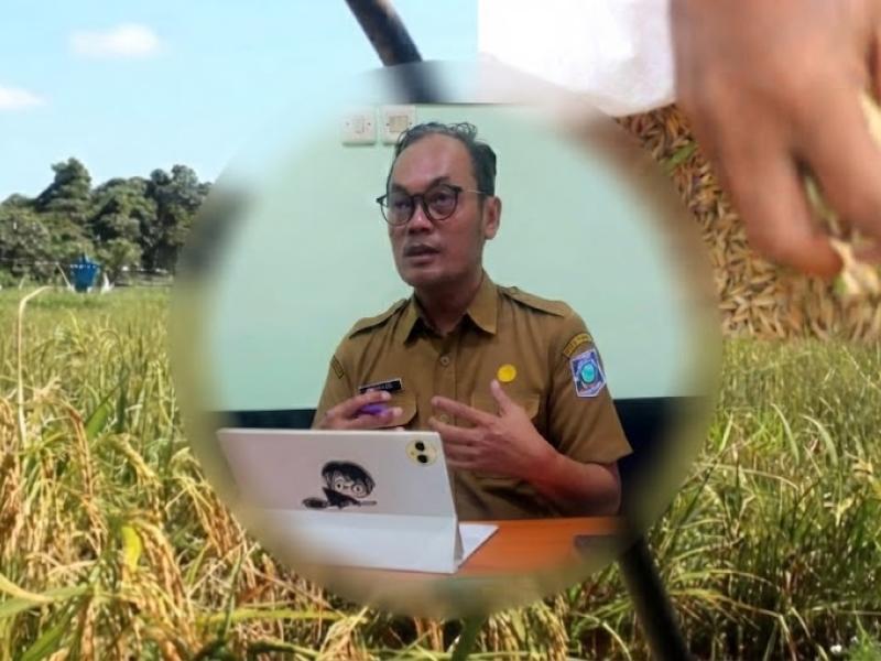 Bangka Selatan Jadi Benteng Ketahanan Pangan Babel, Kepala DPKP Beberkan Strategi Percepatan Swasembada Berkelanjutan