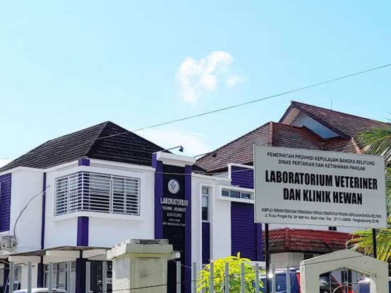 Tim Medik tak WFH, Klinik Hewan Babel Tetap Buka Pelayanan di Hari Jumat