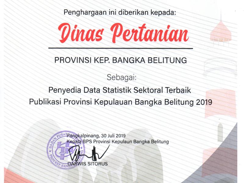 Penerimaan Penghargaan sebagai Penyedia Data Statistik Sektoral Terbaik Publikasi Provinsi Kepulauan Bangka Belitung 2019 dari BPS Provinsi Babel di Cordela Hotel tanggal 30 Juli 2019 