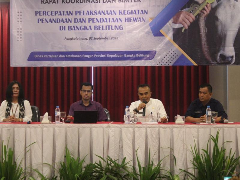 Monitor Pergerakan Ternak, Dinas Pertanian Babel Lakukan Pendataan dan Penandaan Hewan