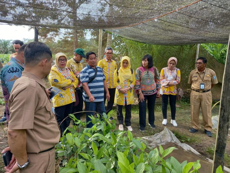 Belajar Lada Sambung Melada, Dinas Perkebunan Lampung ‘Berguru’ ke Babel