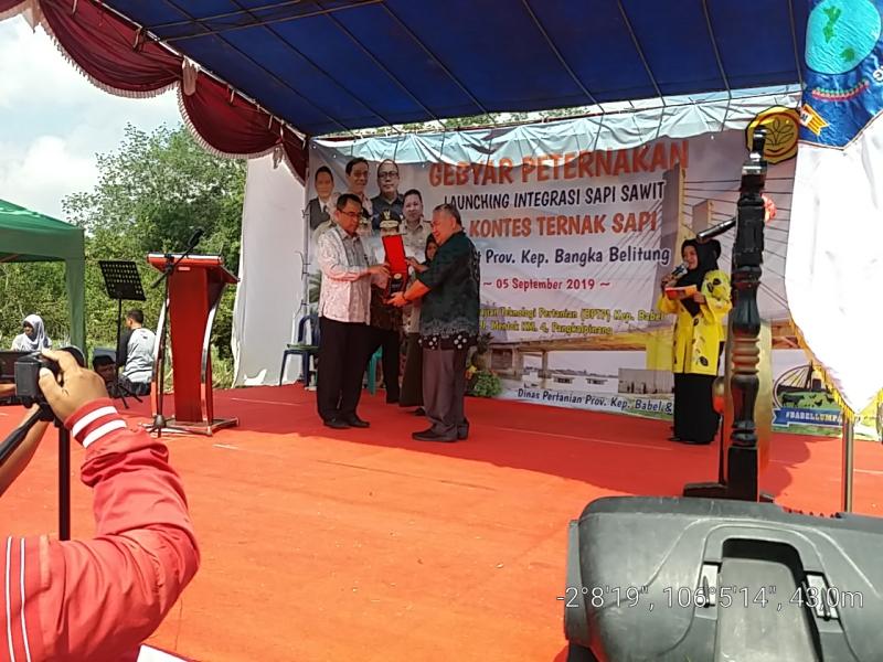 TARGETKAN SWASEMBADA SAPI TAHUN 2022, BANGKA BELITUNG LAUNCHING PERATURAN GUBERNUR 43/19  TENTANG INTEGRASI SAWIT SAPI UNTUK MENJADI BABEL LUMPAT 2022