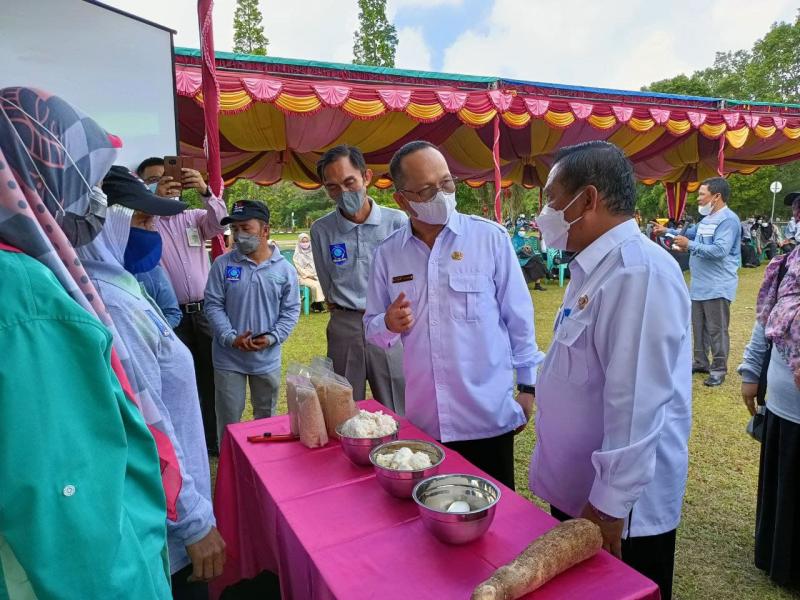 Kenyang Tak Harus Nasi, Pemerintah Kampanyekan Gerakan Diversifikasi Pangan Lokal