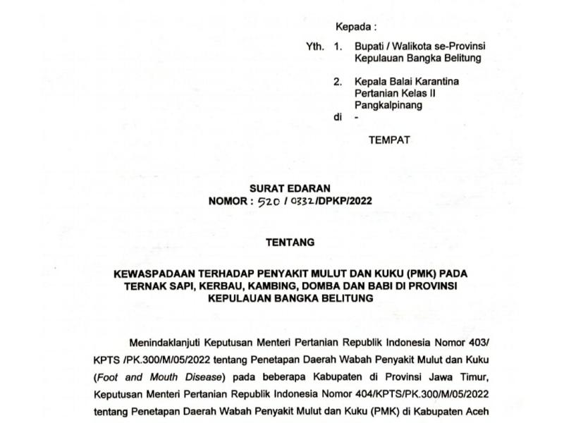 Sapi Babel Positif PMK, Gubernur Erzaldi Larang Jatim dan Aceh Kirim Hewan Ternak ke Bangka Belitung