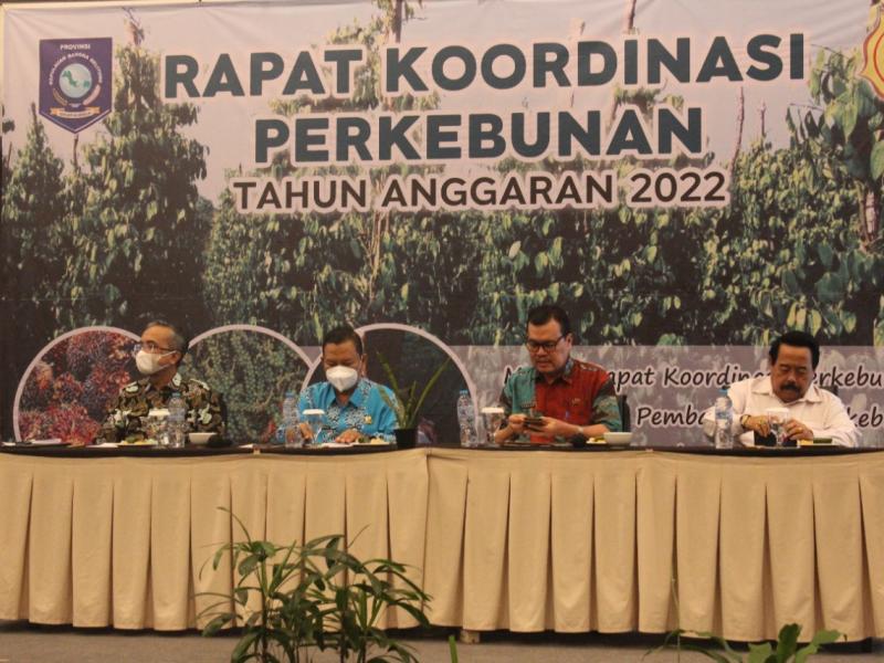 Babel Kembangkan Komoditas Baru Subsektor Perkebunan