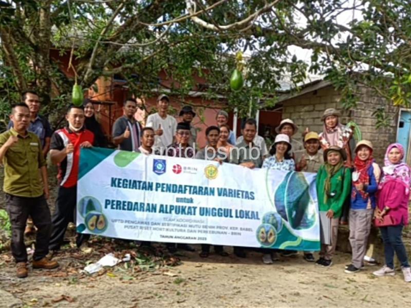 Durian Klamunod Resmi Menjadi Varietas Unggul, Alpukat Roro dan Pulen Hijau Menyusul