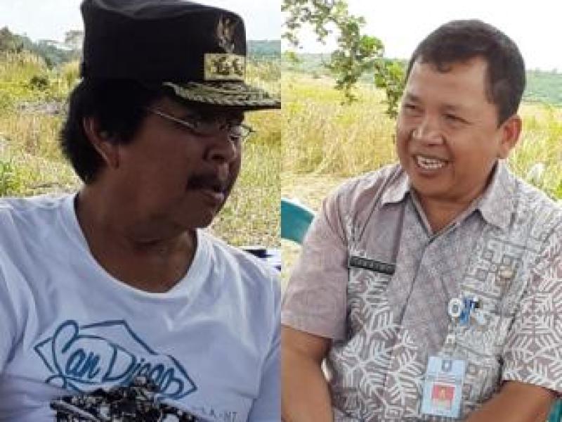 Setelah Panen Padi, Petani Tuik didorong Tanam Jagung di Areal Persawahan