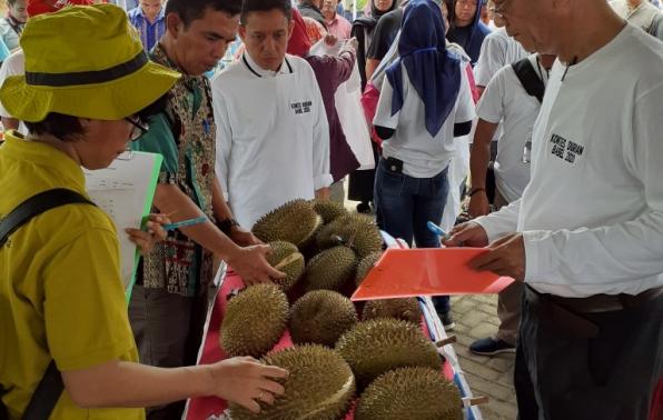 Tim Juri melakukan penilaian pada Kontes dan Bazar Durian Tahun 2020