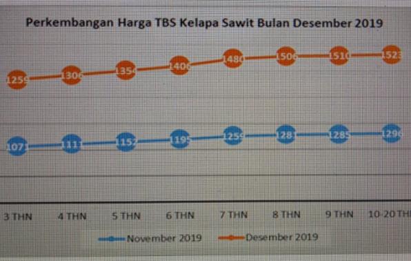 Perkembangan Harga TBS Kelapa Sawit Bulan Desember 2019.(Novie)