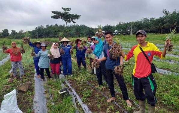 Para pekerja menunjukkan hasil panen benih bawang merah di UPTD Balai Benih Pertanian, Selasa (24/12)