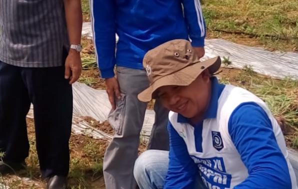 Kepala Dinas Pertanian Provinsi Kepulauan Bangka Belitung Juaidi Rusli SP MP (kedua dari kiri) didampingi sejumlah pejabat terkait di lingkungan Dinas Pertanian Provinsi Kepulauan Bangka Belitung melakukan panen benih bawang merah di UPTD Balai Benih Pertanian, Selasa (24/12)